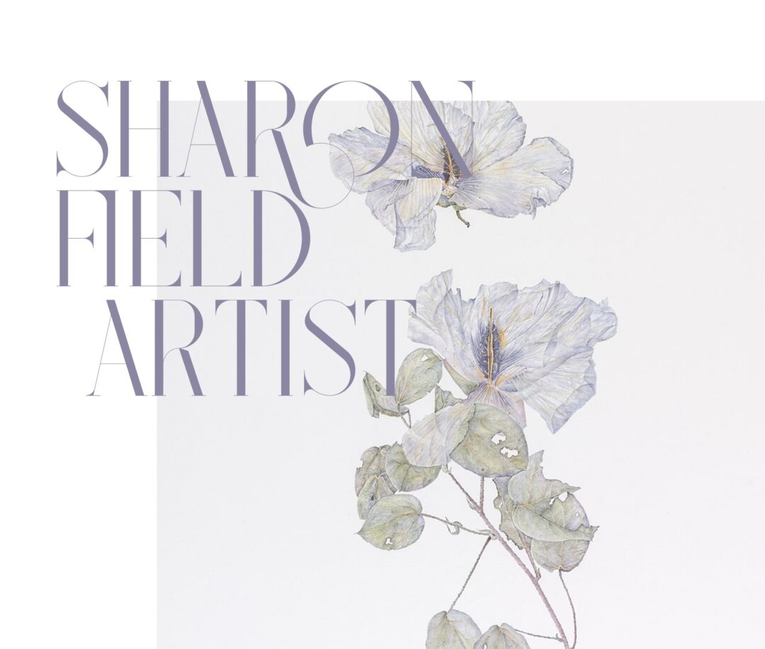 Sharon Field Artist